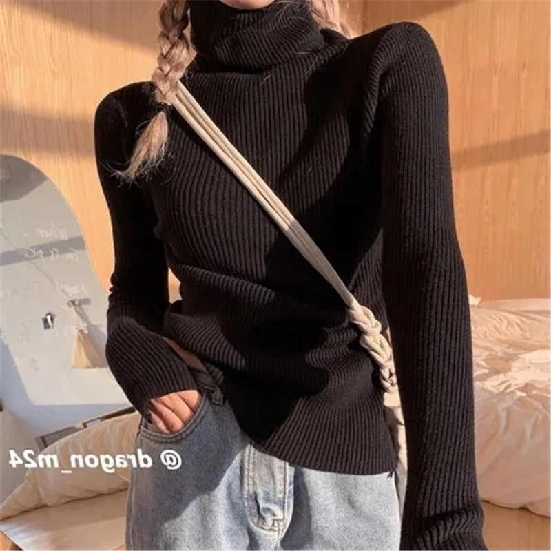 Timeless Crew Neck Sweater