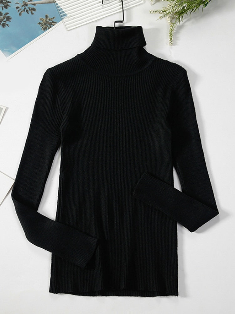Women's Casual Crew Neck Sweater