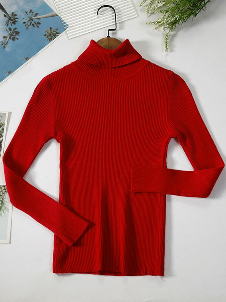 Women's Casual Crew Neck Sweater