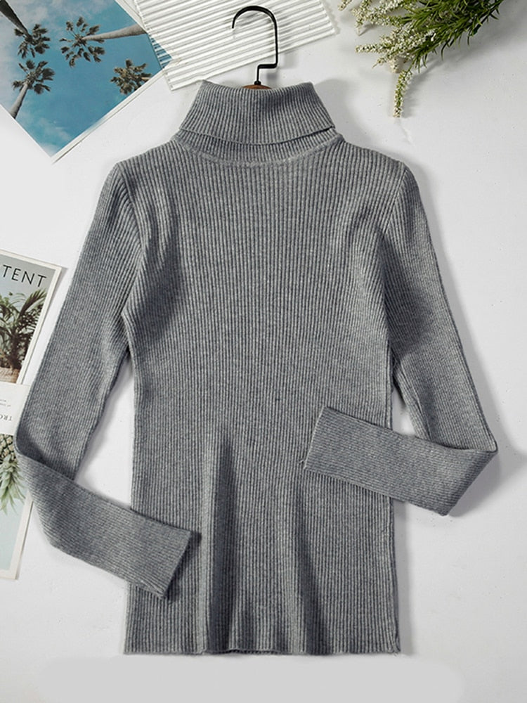 Women's Casual Crew Neck Sweater
