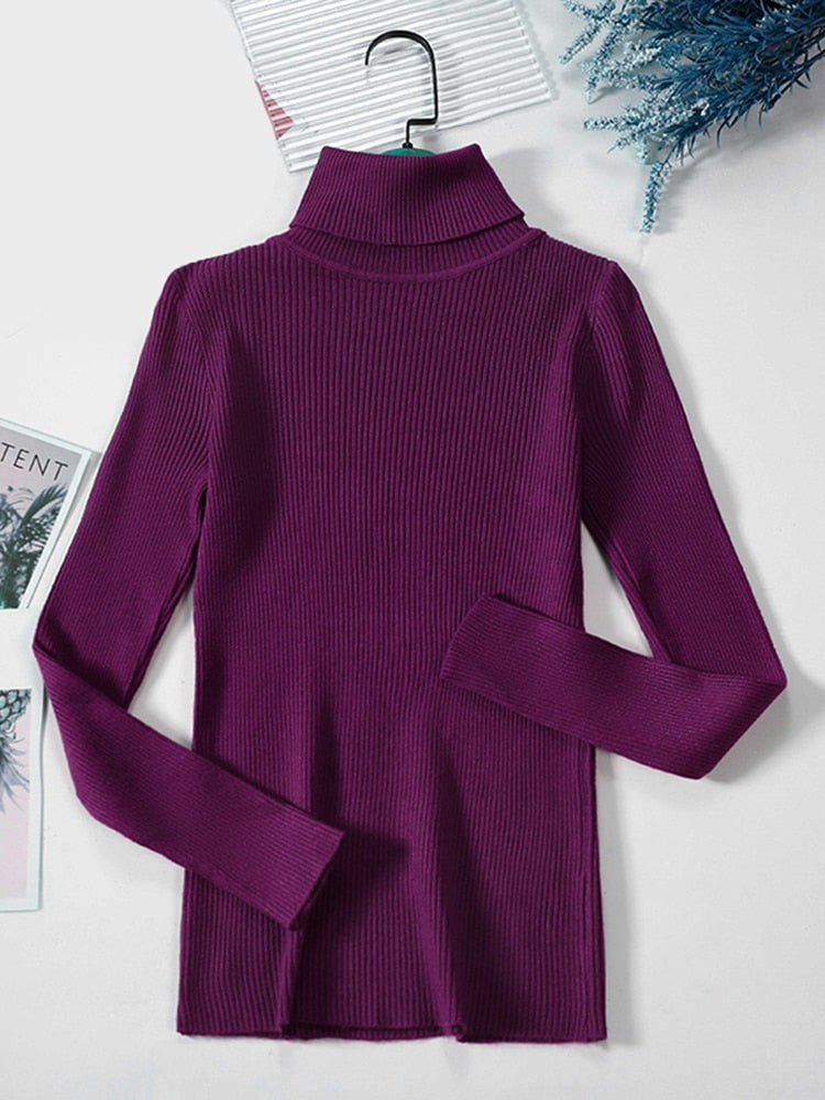 Women's Casual Crew Neck Sweater