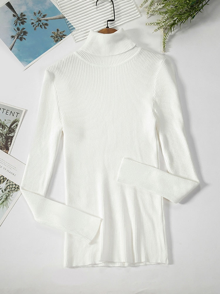 Women's Casual Crew Neck Sweater