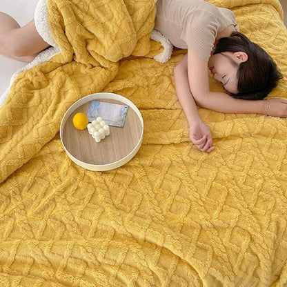 Plush Weighted Throw Blanket
