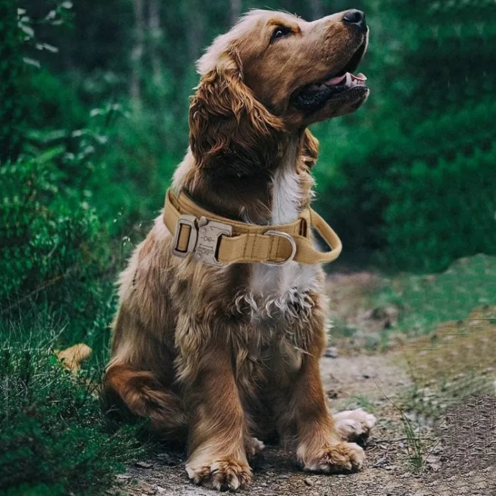 Dog Collar Adjustable Military TacticalPets Dg Collas Leas CntrlTactical Military Dog Training Collar