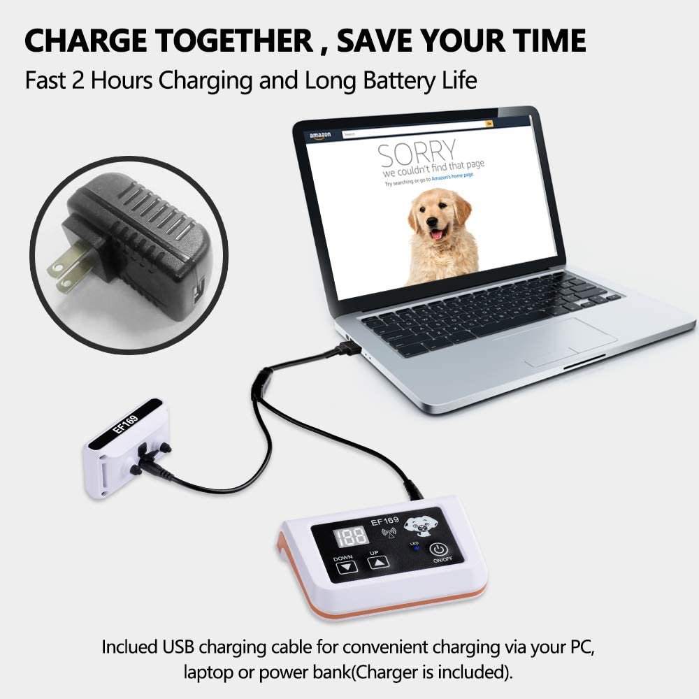 Wireless Dog Fence
