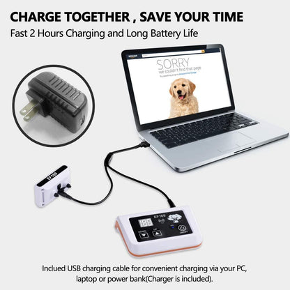 Wireless Dog Fence