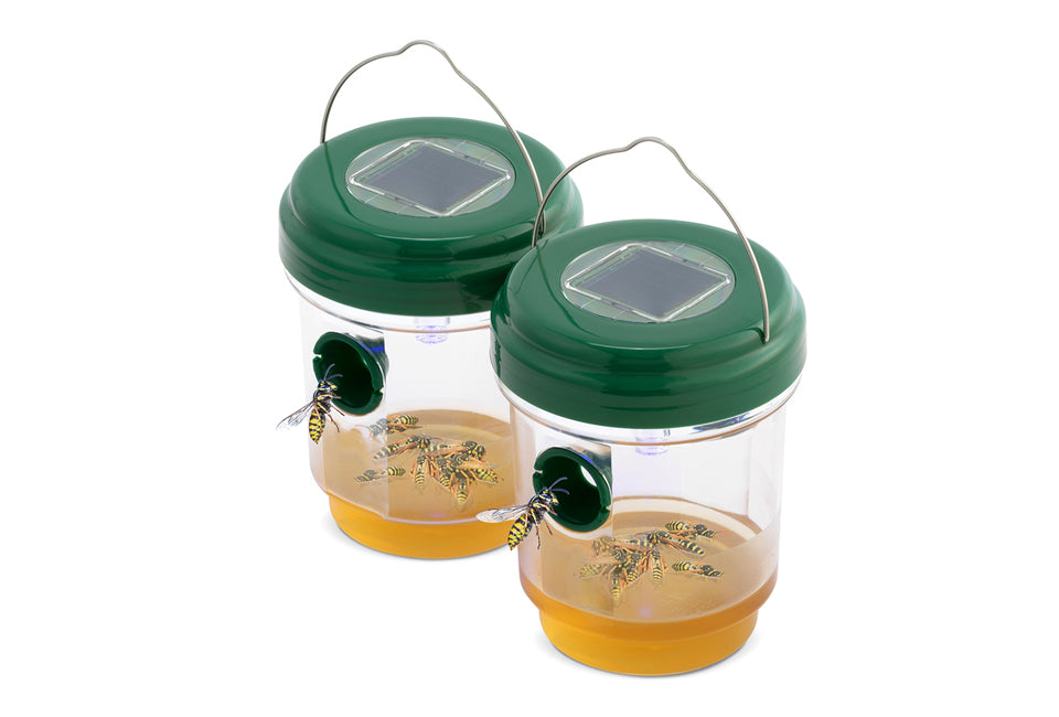 Set of 2 solar powered insect traps