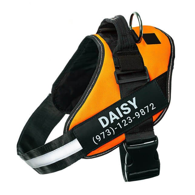Custom No Pull Dog Harness
