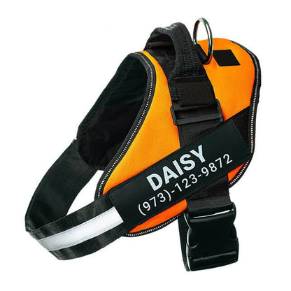 Custom No Pull Dog Harness