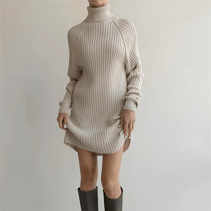 Stylish Cold Weather Sweater Dress