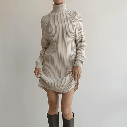 Stylish Cold Weather Sweater Dress