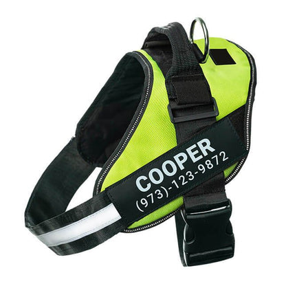 Custom No Pull Dog Harness