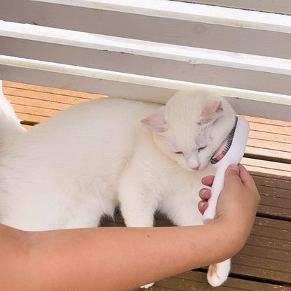 Multifunctional pet cleaning brush