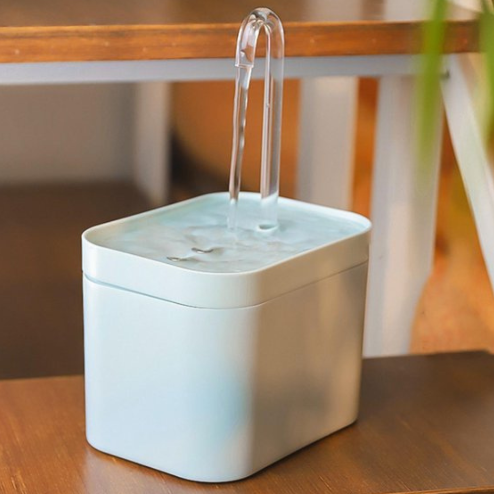 Filtered Water Fountain for Cats