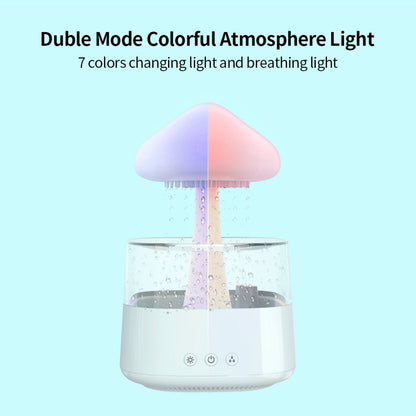 Rain Cloud Humidifier