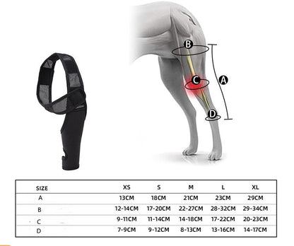 Neoprene Rear Dog Knee Brace for Torn ACL