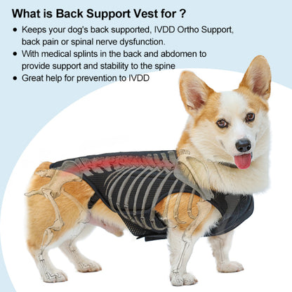 Dog Back Brace Flexible Comfortable Dog Back Protector For Old Dogs Disabled