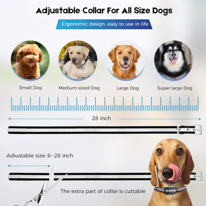 2-in-1 Electric Wireless Fence with Remote, Waterproof, 2 Collar Package