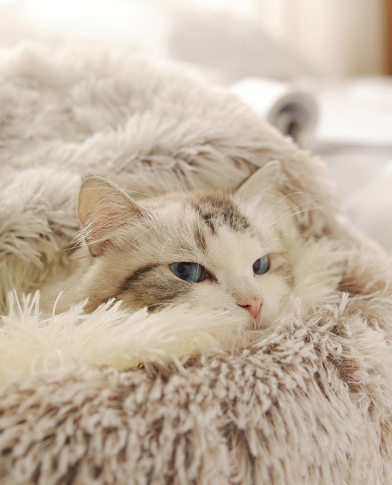 Fluffy Plush Cave Cat Bed