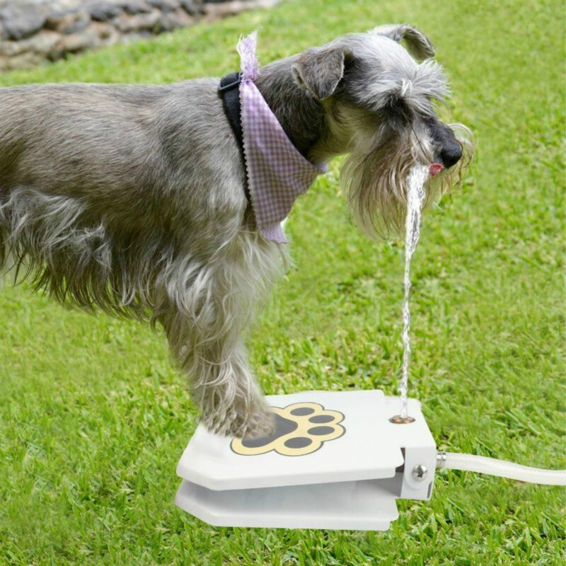 Best Dog Water Fountain