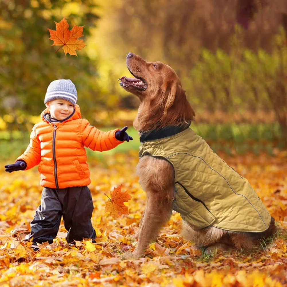 All-Purpose Reflective Quilted Dog Jacket