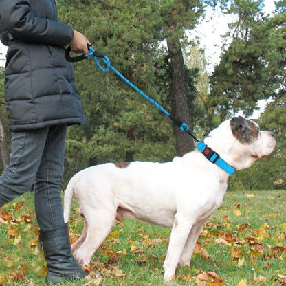 Heavy Duty Rope Dog Leash