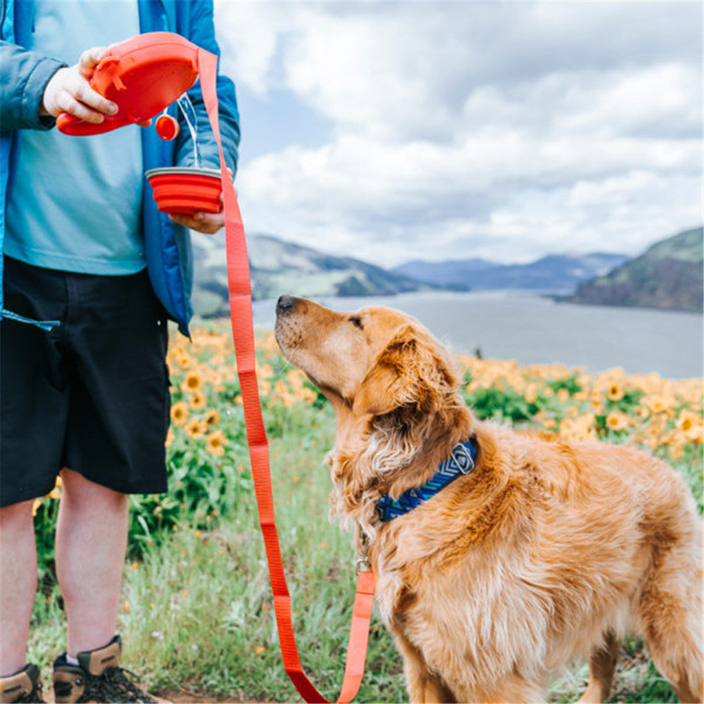 Dog Leash Water Bottle Bowl