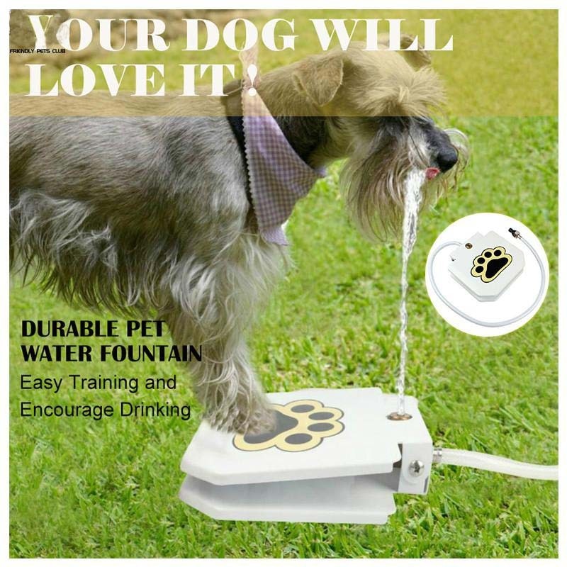 Best Dog Water Fountain