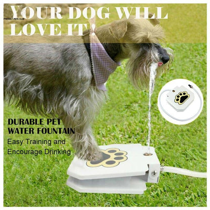 Best Dog Water Fountain