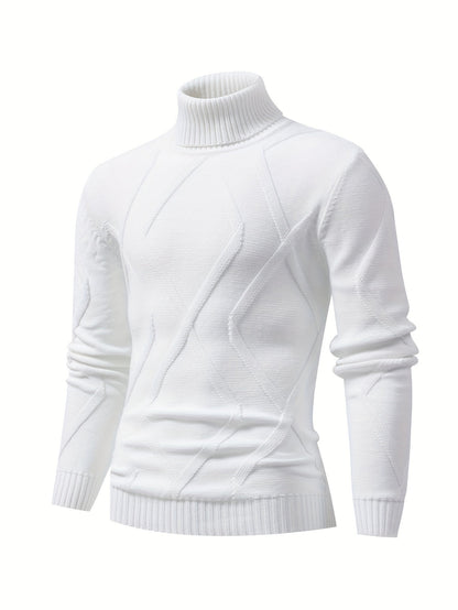 Men's Patterned Crew Neck Knit Sweater