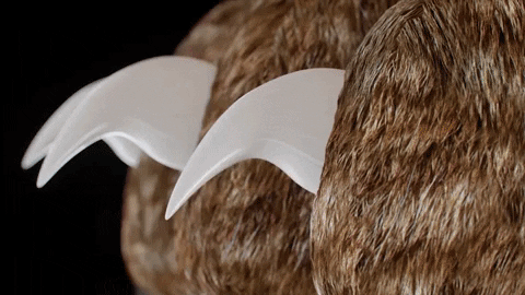 Easy Grip Pet Nail Trimmers with Safety Sensors