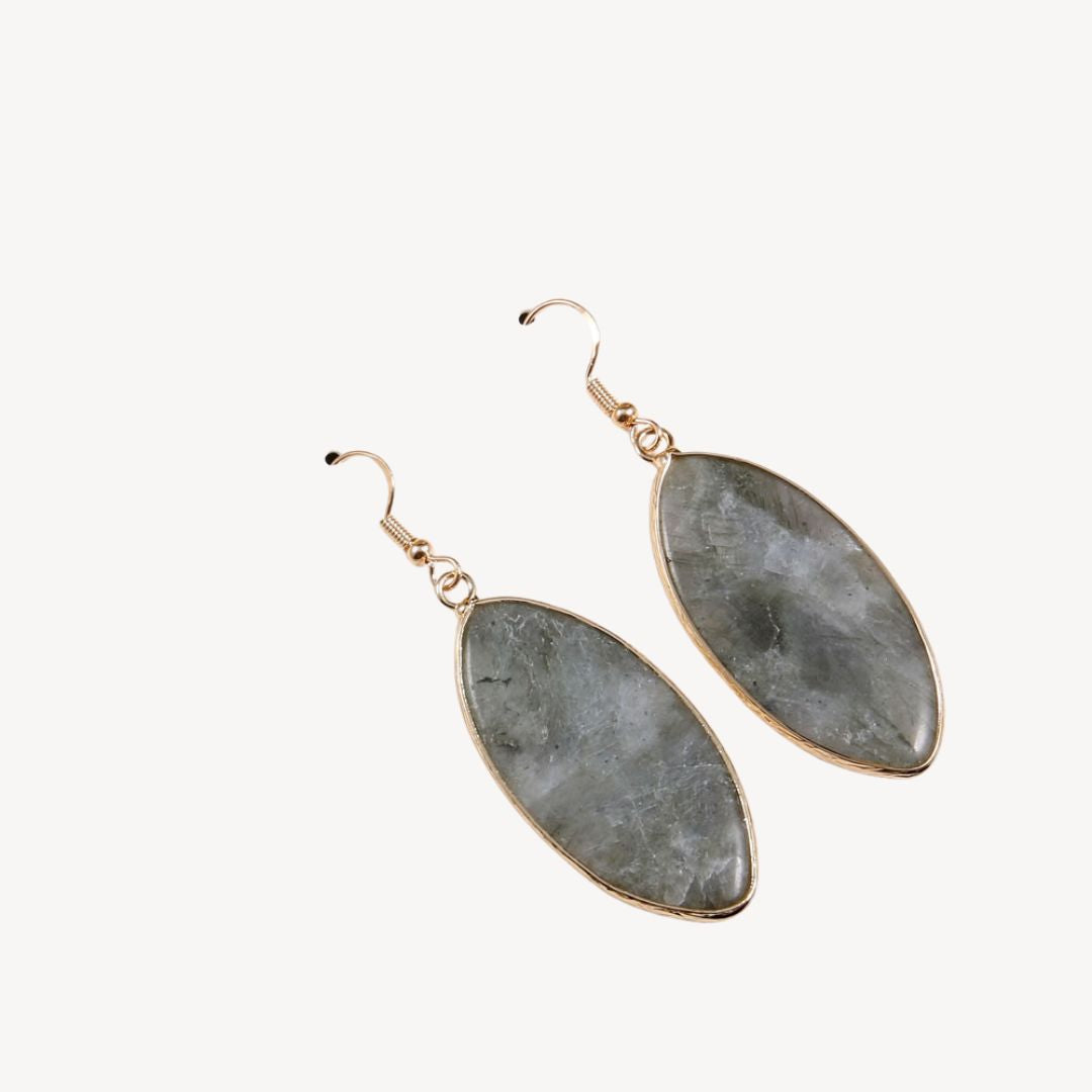 Sparkling Stone Dangle Earrings