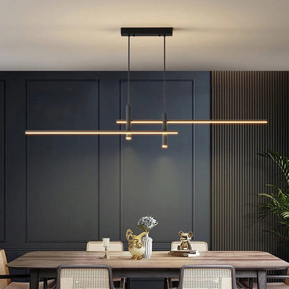 Dual Drop Ceiling Lamp