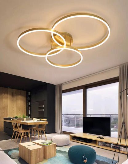 Elegant Round Hanging Lamp