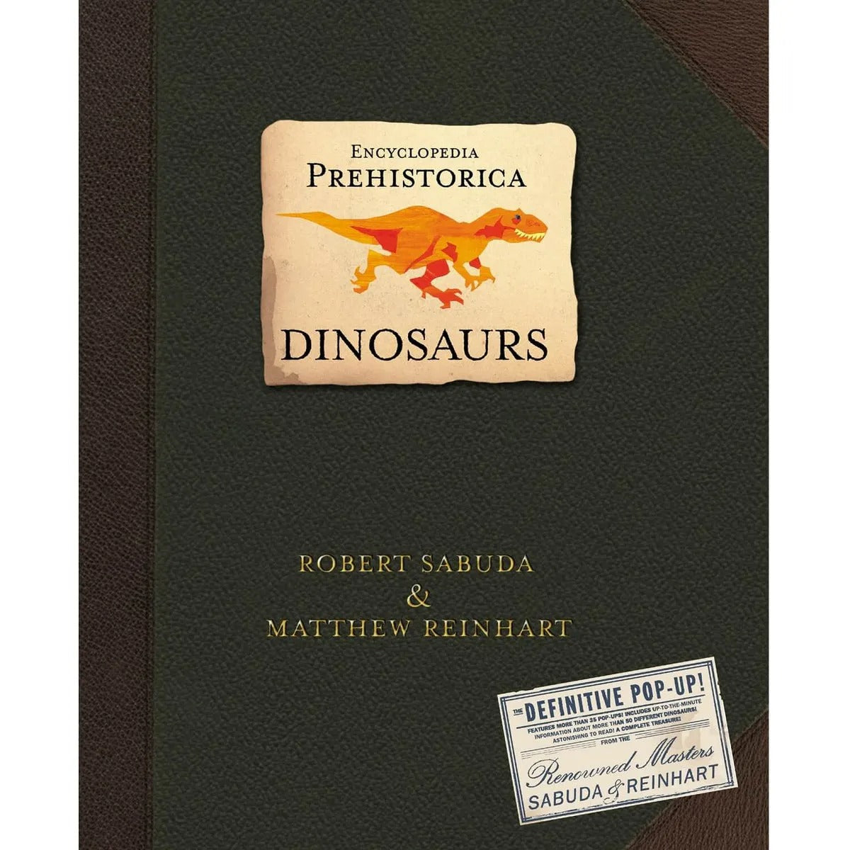 Fun Pop Up Dinosaur Book for Kids Adventure