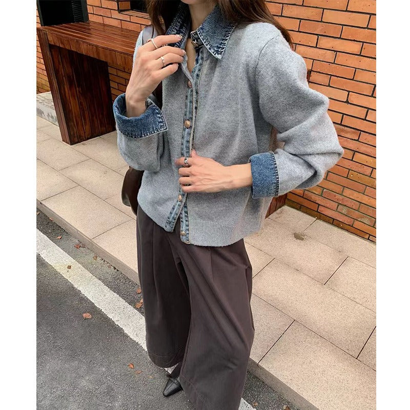 Casual Women's Blue V-Neck Button Front Sweater Top