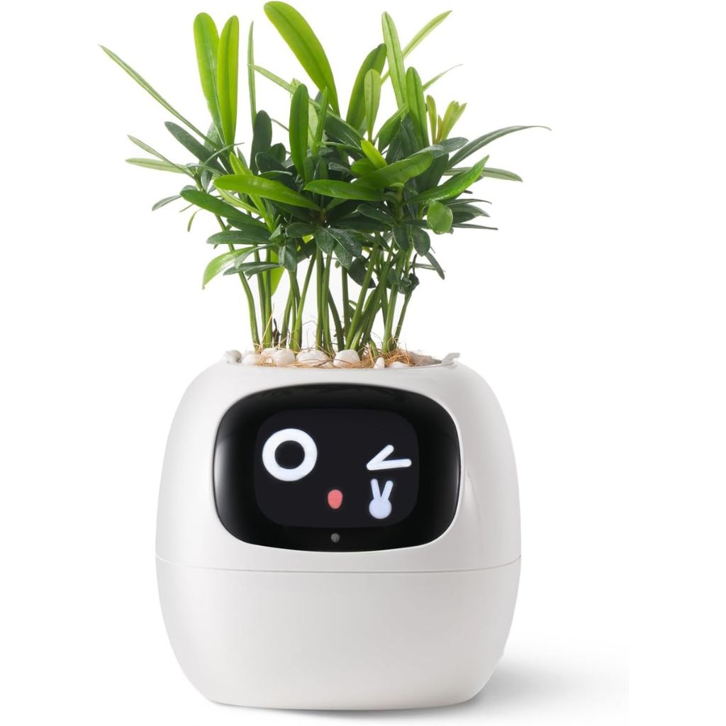 Smart Indoor Self Watering Planter Pot - OutfitLondon