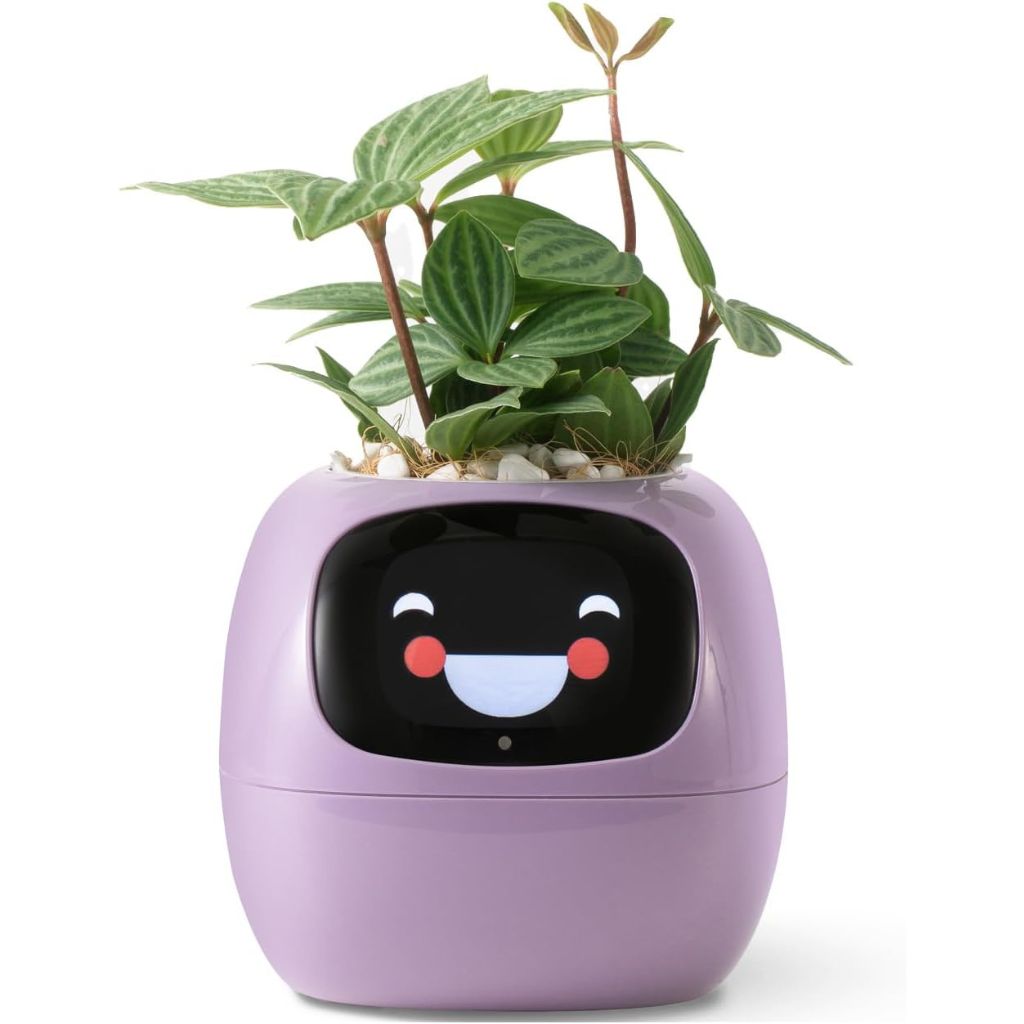 Smart Indoor Self Watering Planter Pot