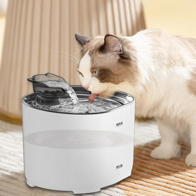 Easy Clean Pet Water Dispenser With Built In Filter