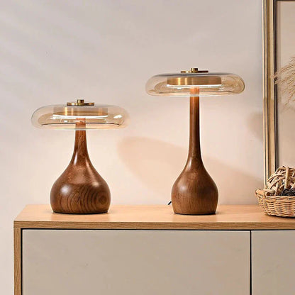 Stylish Indoor Desk Lamp
