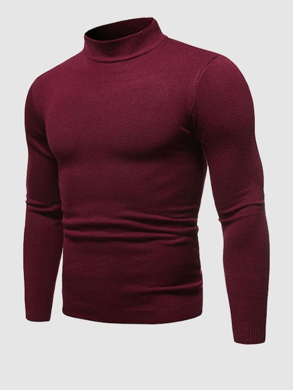Comfortable Regular Fit Crew Neck Wool Sweater
