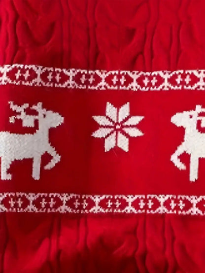 Fun Festive Holiday Sweater for Men