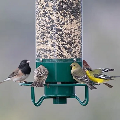 Easy Fill Squirrel Resistant Bird Feeder with Spinner - OutfitLondon