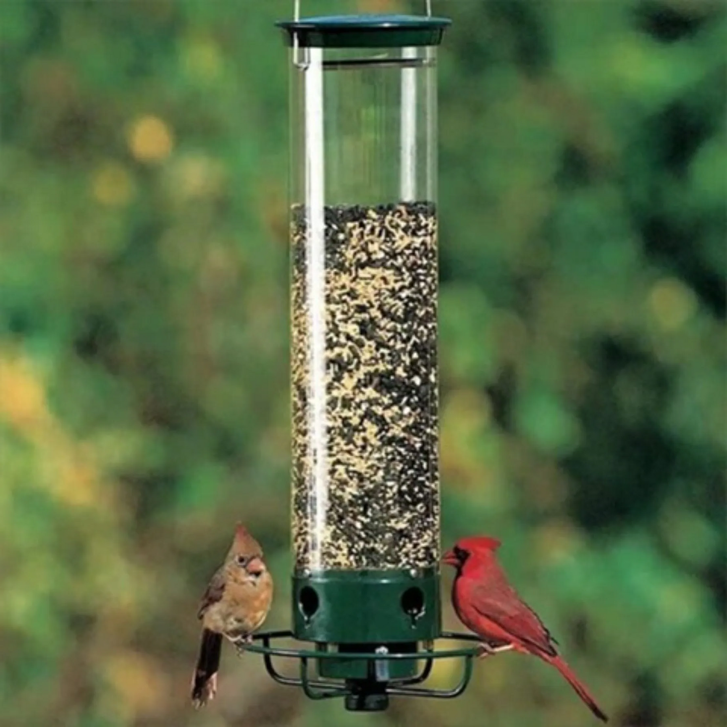 Easy Fill Squirrel Resistant Bird Feeder with Spinner
