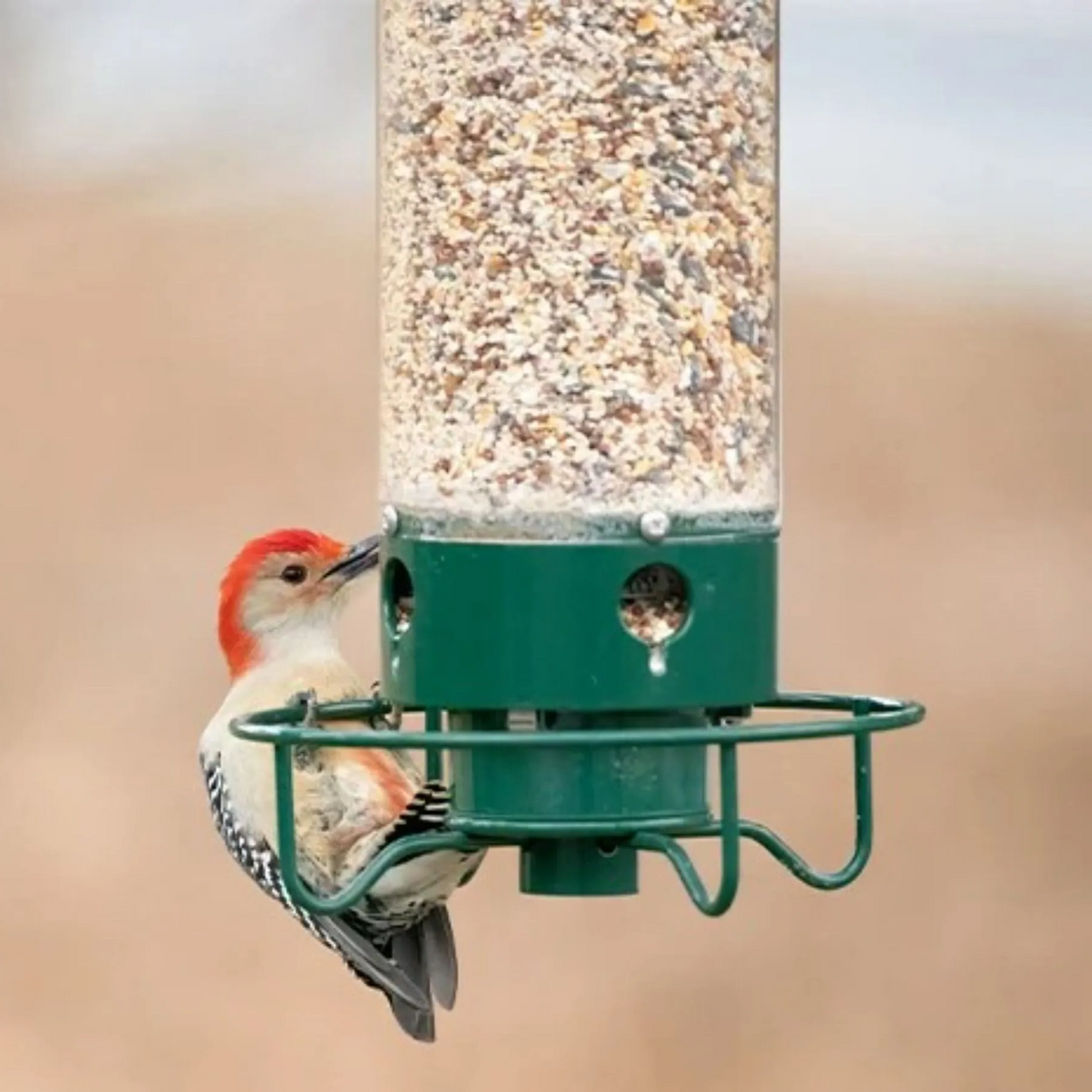 Easy Fill Squirrel Resistant Bird Feeder with Spinner