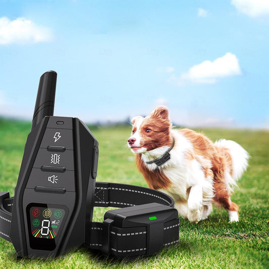 Durable Waterproof Remote Dog Training Collar - OutfitLondon