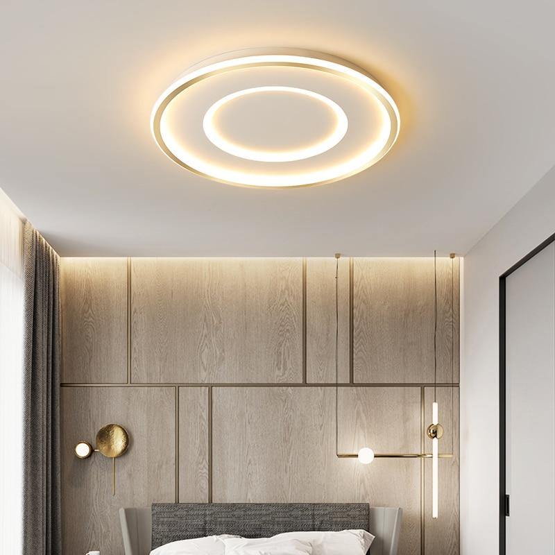 Stylish Contemporary LED Ceiling Light