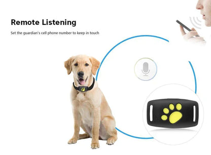 Rastreador GPS para Cães Portátil e Sem Taxas Mensais