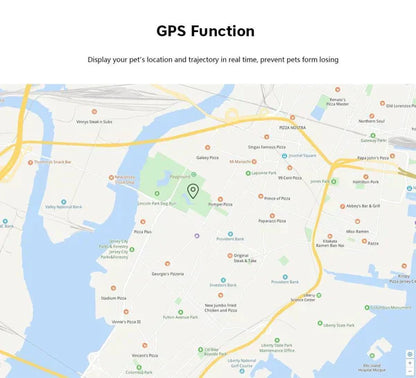 Rastreador GPS para Cães Portátil e Sem Taxas Mensais