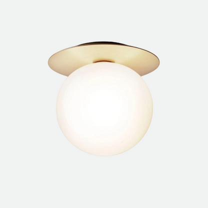 Circular Stainless Steel Light Fixture